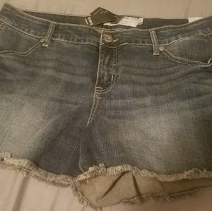 torrid NWT size 18 shorts